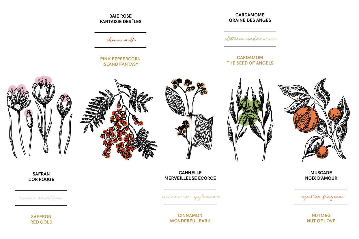 epice épices-La-Closerie-des-Parfums